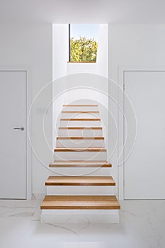 Elegant home corridor with stairs