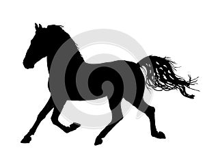 Elegant horse in gallop, vector silhouette illustration.