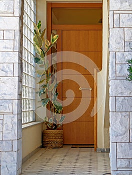 Elegant house entrance with glass bricks and solid wooden door