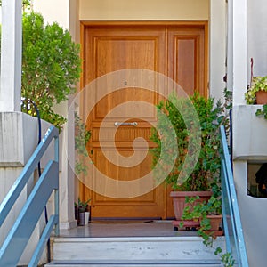 Elegant house entrance solid wooden door