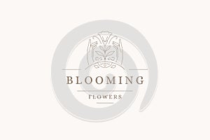 Elegant human hands with spring blooming narcissus wild rural flower line logo vector