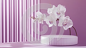 Ceramic Podium and White Orchids on Soft Lavender Background