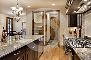 Elegant Kitchen with Granite Counter