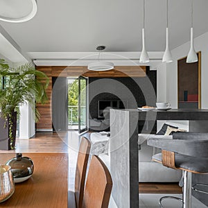 Elegant kitchen with living room