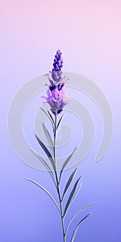 Elegant Lavender Mobile Wallpaper With Volumetric Lighting