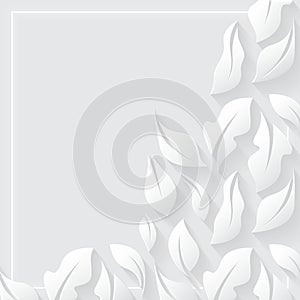 Elegant Leaves design abstract White 3d Square Template background. Decorative white abstract shaded background.
