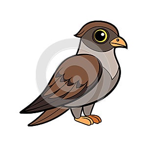 Elegant Lesser Nighthawk Bird Vector photo