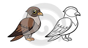 Elegant Lesser Nighthawk Bird Vector photo