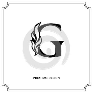 Elegant letter G. Graceful royal style. Calligraphic beautiful logo. Vintage drawn emblem for book design, brand name, business ca