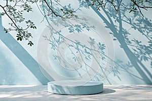Elegant light blue backdrop with tree shadows