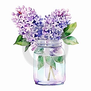 Elegant Lilacs in meson jar: A Watercolor Study