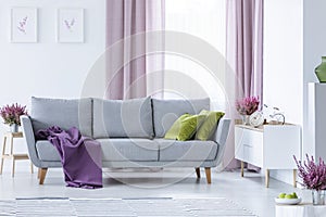 Elegant living room with big comfortable grey couch with olive green pillows and violet blanket in the middle