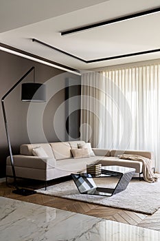 Elegant living room with big sofa