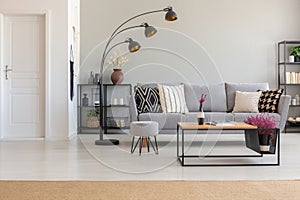 Elegant living room with grey sofa with patterned pillows, wooden coffee table and industrial lam, with photo