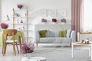 Elegant living room with heather on the shelf, white furniture, stylish wooden coffee table, patterned rug and grey couch