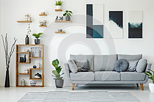 Elegant living room interior with a grey sofa, wooden shelves, p