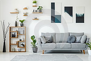 Elegant living room interior with a grey sofa, wooden shelves, p photo