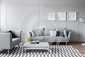 Elegant living room with two comfortable grey sofas with pillows and graphic on the wall