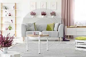 Elegant living room with white furniture, stylish wooden coffee table, patterned rug, grey couch with pillows and heather