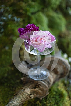 Elegant long stemmed champagne glass decorated with peonies against backdrop of grass and moss outdoors