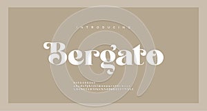 Elegant luxury alphabet letters font. Classic Lettering Minimal Modern Fashion Designs. Typography modern serif fonts regular