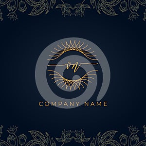 Elegant luxury letter VN logo