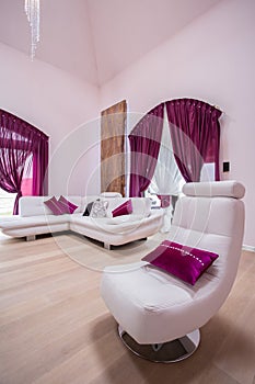 Elegant luxury living room
