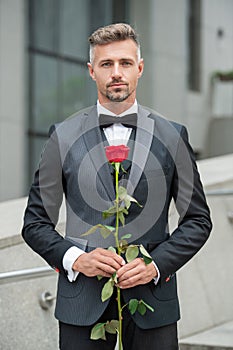 elegant man in black tux. man wearing tux bowtie outdoor. grizzle tux man with red rose