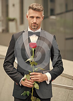 elegant man in black tuxedo. man wearing tuxedo bowtie outdoor. grizzle tuxedo man with red rose