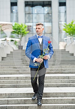 elegant man in tux. man wearing tux bow tie outdoor. handsome tux man with red rose