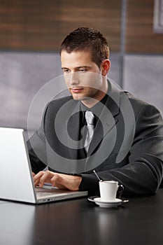 Elegant manager working on laptop