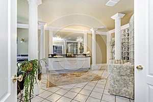 Elegant master bathroom with white columns