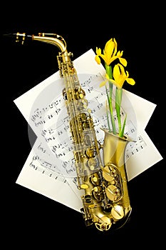 Golden matte finished alto saxophone with yellow iris lilies on black background