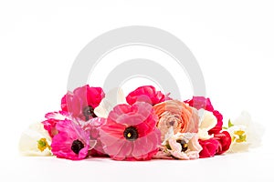 Elegant mixed colors ranunculus spring flowers on white background. Spring buttercups. Ranunculus bouquet cut out.