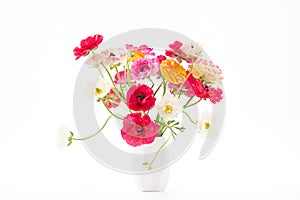 Elegant mixed ranunculus spring bouquet in white vase on white background. Spring buttercups. Ranunculus bouquet cut out.