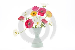 Elegant mixed ranunculus spring bouquet in white vase on white background. Spring buttercups. Ranunculus bouquet cut out.