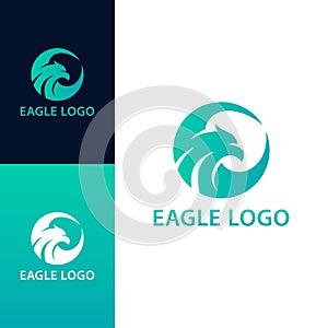 Elegant Modern Hawk Circle Logo or Icon Design For Business