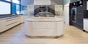 Elegant modern kitchen with varnished photo