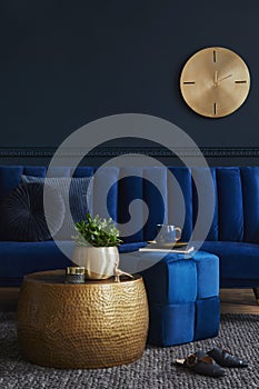 Elegant modern living room interior design with glamour blue velvet sofa, pouf, black metal shelf, poster, plants.