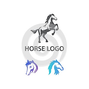 Elegant Modern Mustang Equine Set Logo Design Concept