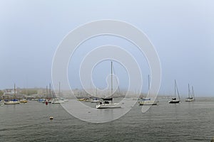 Elegant and modern sailboats moored to a pier in a yacht marina. Thick white fog