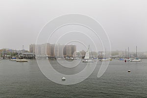 Elegant and modern sailboats moored to a pier in a yacht marina. Thick white fog