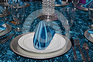 Elegant Modern Table Place Setting