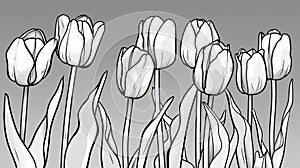 Elegant Monochrome Sketch of Tulips in Bloom