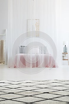 Elegant mosquito net bed canopy