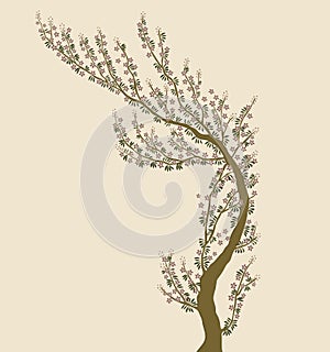 Elegant mughal floral tree isolated illustration vector art.