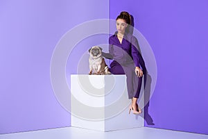 elegant mulatto girl in purple suit sitting on cube with pug, ultra violet