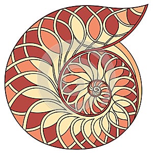 Elegant Nautilus Shell Spiral Pattern, vector design Generative AI