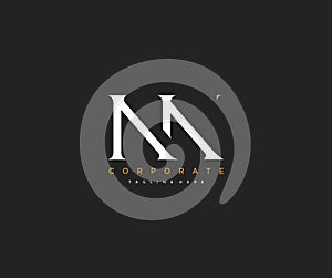 Elegant NN Letter Minimalist Monogram Logo Design photo