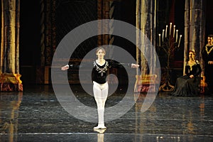 Elegant and noble prince-The prince adult ceremony-ballet Swan Lake